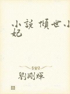 小说 倾世小狂妃封面