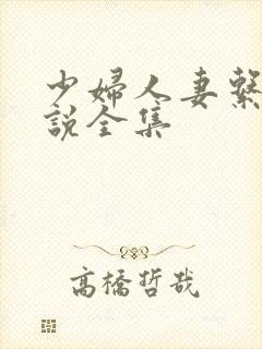 少妇人妻系列小说全集