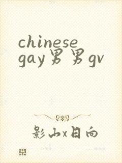 chinesegay男男gv