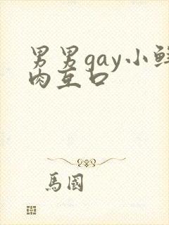 男男gay小鲜肉互口
