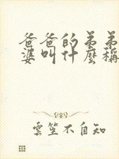 爸爸的弟弟的老婆叫什么称呼