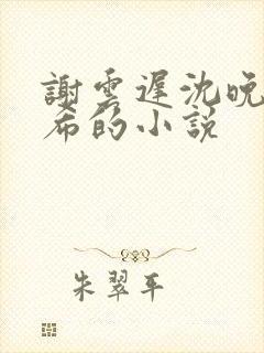 谢云迟沈晚梨叶希的小说