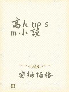 高h np sm小说