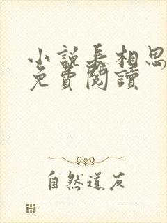 小说长相思原著免费阅读封面