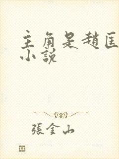 主角是赵匡胤的小说封面