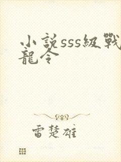 小说sss级战龙令