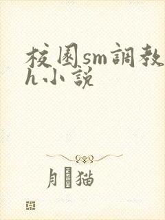 校园sm调教高h小说
