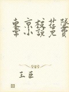 东京校花坠落日常小说免费下载封面