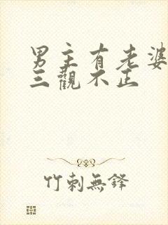 男主有老婆出轨三观不正