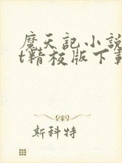 魔天记小说txt精校版下载封面