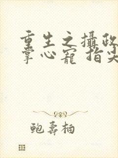 重生之摄政王的掌心宠 指尖方寸