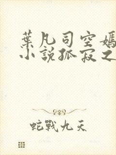 叶凡司空嫣然的小说孤寂之狼