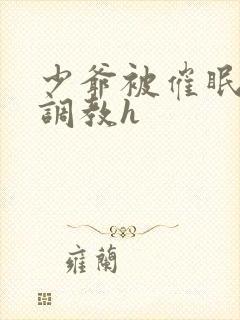 少爷被催眠玩弄调教h封面