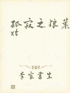 孤寂之狼叶凡txt