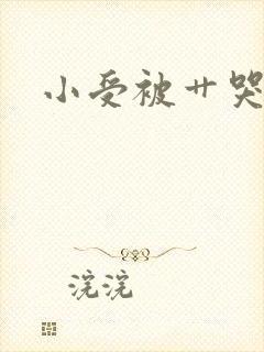 小受被艹哭