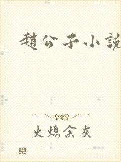 赵公子小说