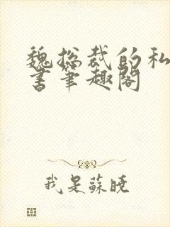 魏总裁的私人秘书笔趣阁