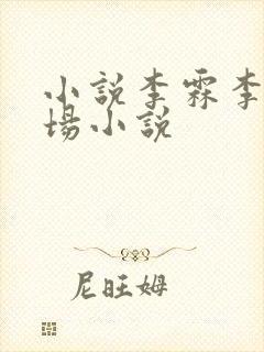 小说李霖李澜官场小说