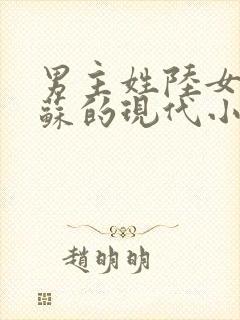 男主姓陆女主姓苏的现代小说封面