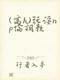 (高h)玩淫np伦调教封面