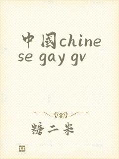 中国chinese gay gv封面