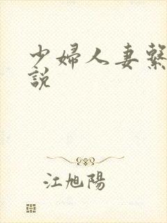少妇人妻系列小说