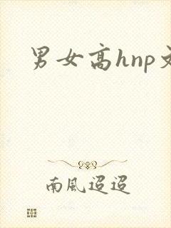 男女高hnp文