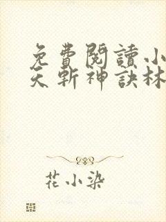 免费阅读小说九天斩神诀林辰