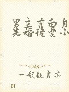 男主有白月光的先婚后爱小说