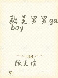 欧美男男gay boy