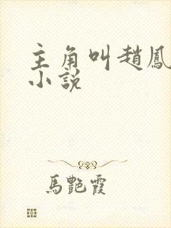 主角叫赵凤生的小说