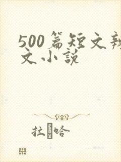 500篇短文辣文小说