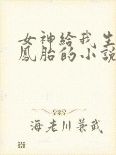 女神给我生了龙凤胎的小说