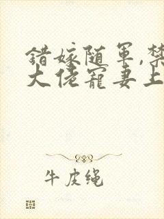 错嫁随军,禁欲大佬宠妻上瘾txt下载