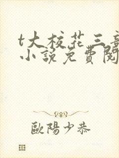 t大校花三部曲小说免费阅读全文