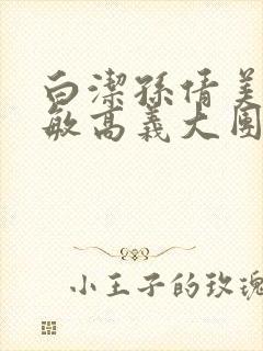 白洁孙倩美红张敏高义大团结