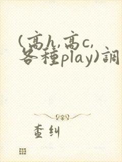 (高h,高c,各种play)调教h文