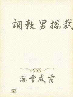 调教男总裁sm