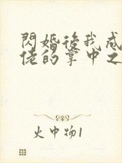 闪婚后我成了大佬的掌中之物17集