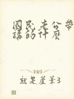 国民老公带回家讲的什么