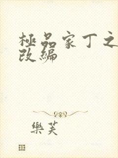 极品家丁之四季改编