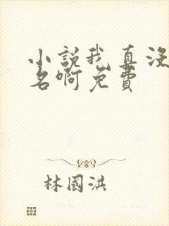 小说我真没想出名啊免费