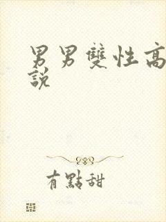 男男双性高h小说