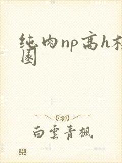 纯肉np高h校园封面