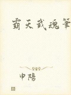 霸天武魂笔趣阁