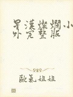 星汉灿烂小说番外完整版