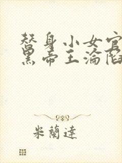 替身小女官,腹黑帝王沦陷了的小说