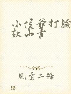 小侯爷打脸日常故山青