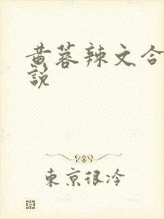 黄蓉辣文合集小说