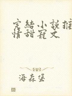 完结小说推荐言情甜宠文